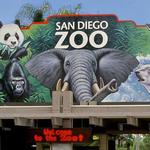 San Diego Zoo