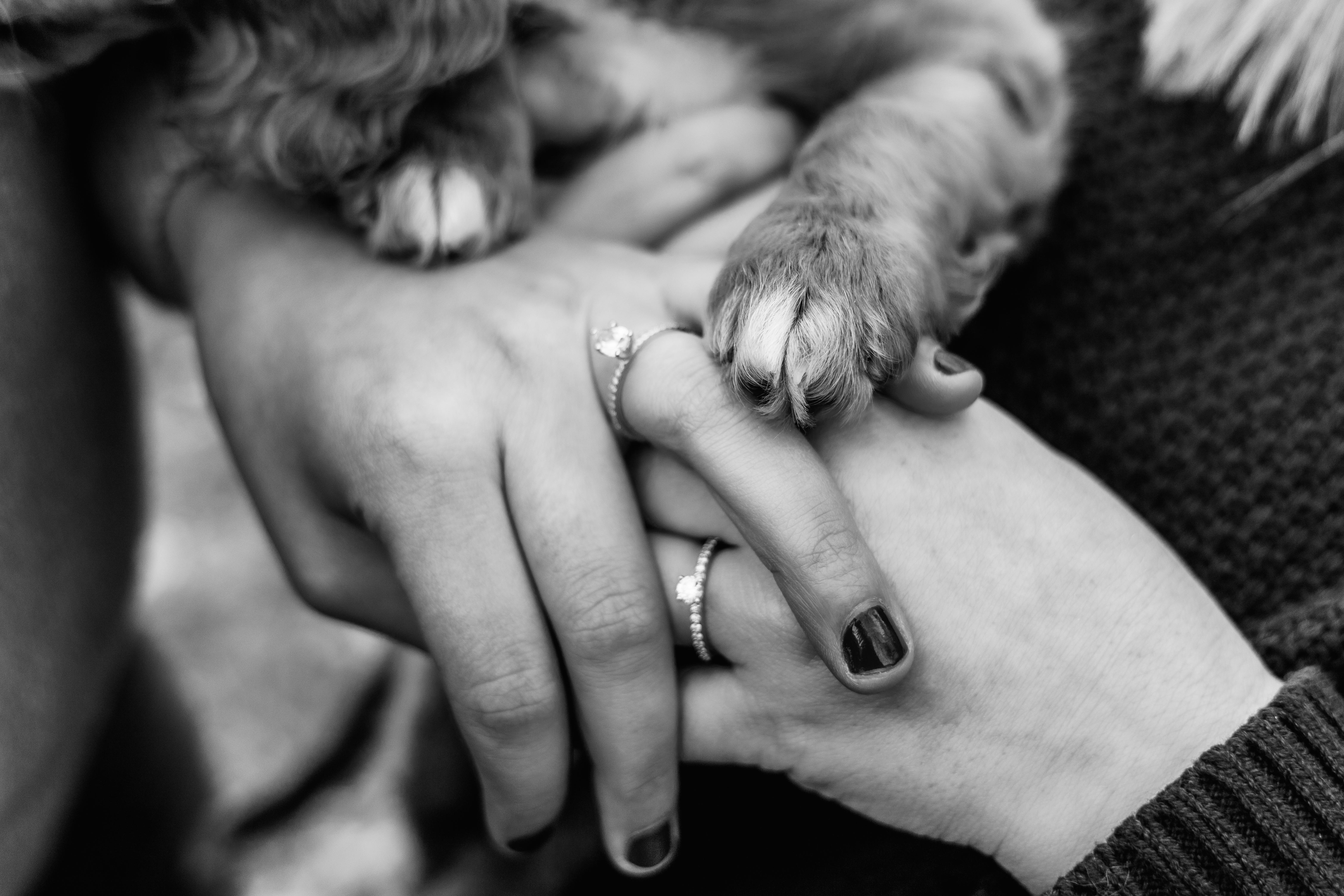 The Wedding Website of Ashley Thooft and Caitlin Kolb