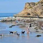 North Beach, Del Mar