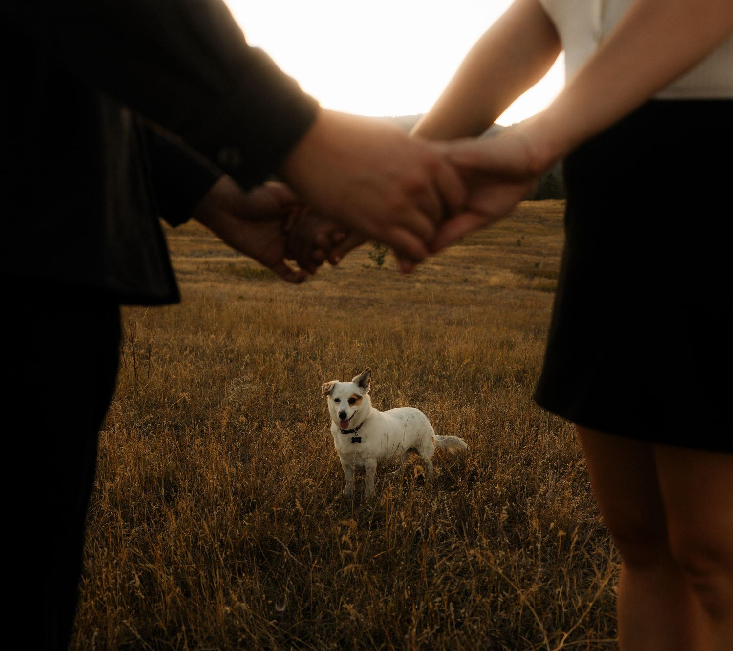 The Wedding Website of Emma Hewey and Alex Cook
