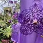 Marie Selby Botanical Gardens Downtown Sarasota