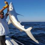 9-Ball Mississippi Fishing Charters