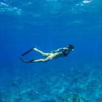 Scuba Diving