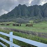 Kualoa Ranch