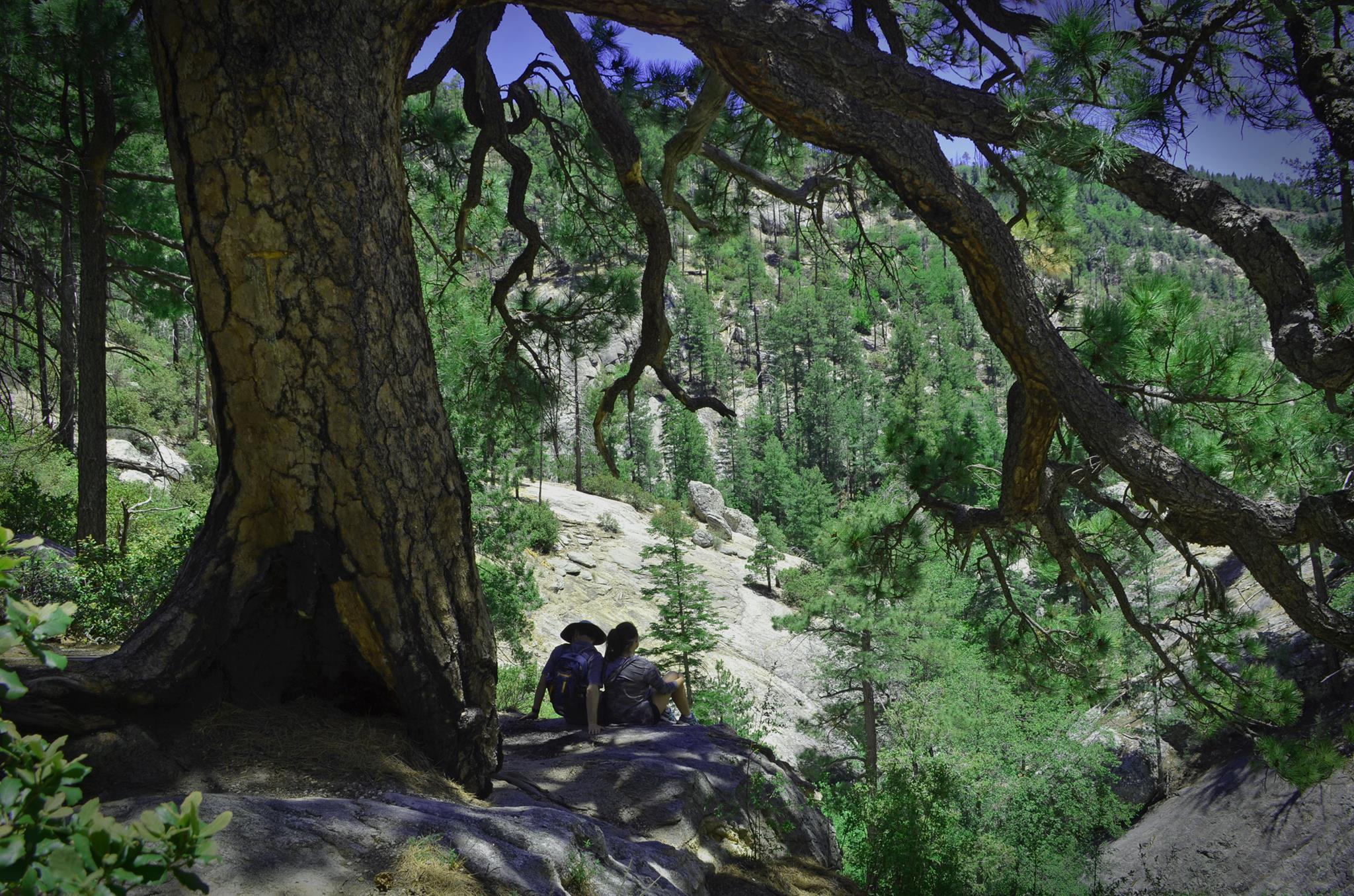 The Wedding Website of Meredith Paige Scott and Kasey Kyle Fagin