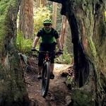 Mountain bike adventure-