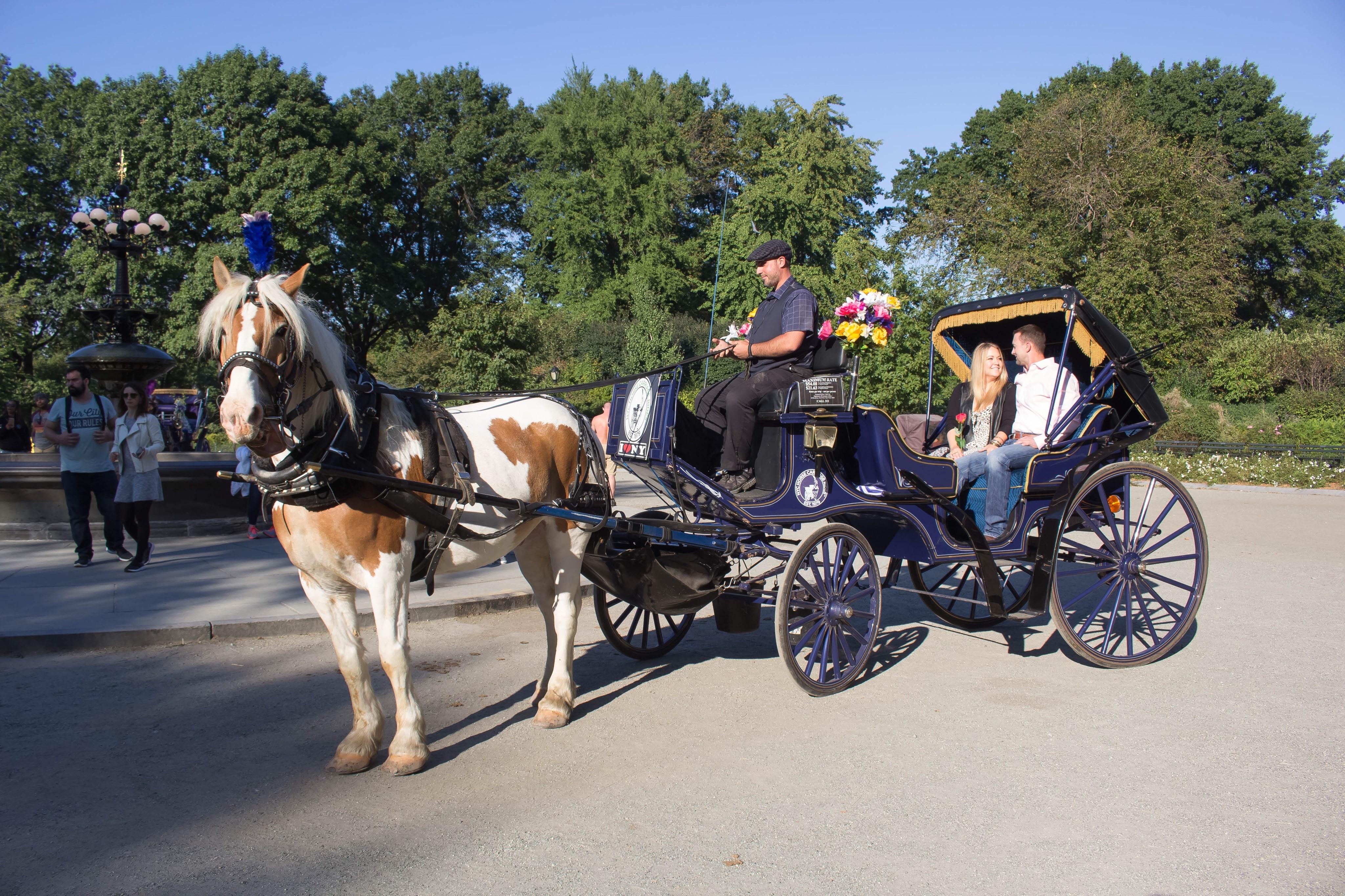 The Wedding Website of April Sanders and Mark Bell