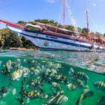 Angra dos Reis Day Trip