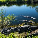 Everglades National Park