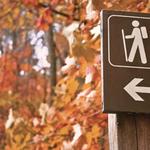 On-Resort Hike: Colorado Trail South