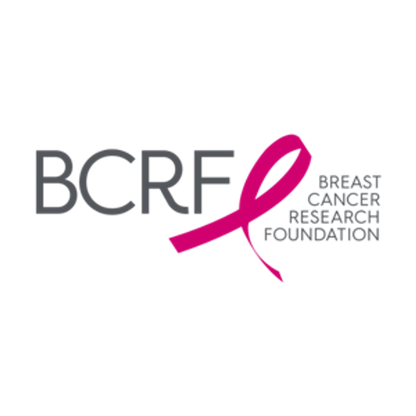 Donate to The Breast Cancer Research Foundation