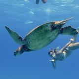 Living Ocean Tours