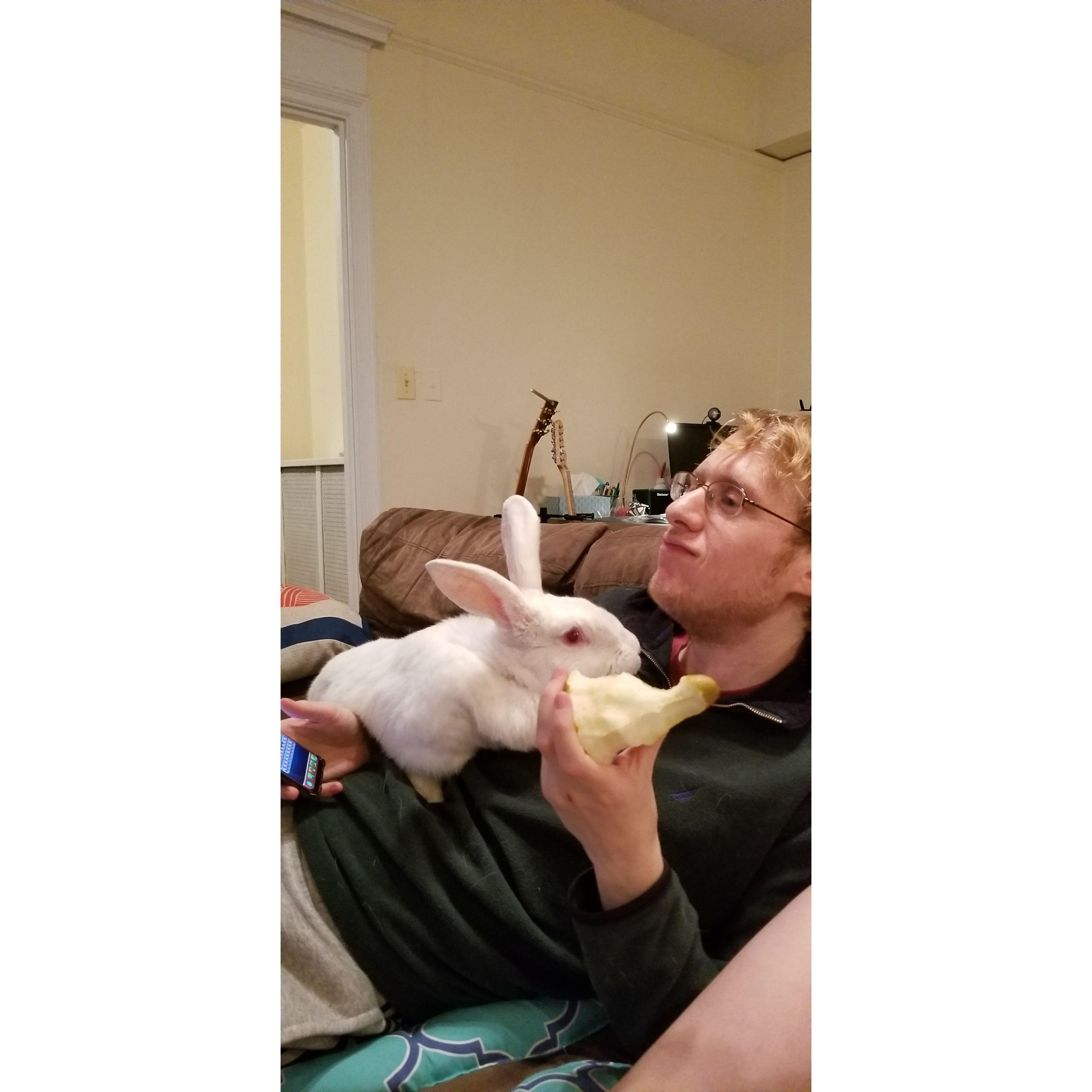 Our old bunny Bugsy begging for a pear.