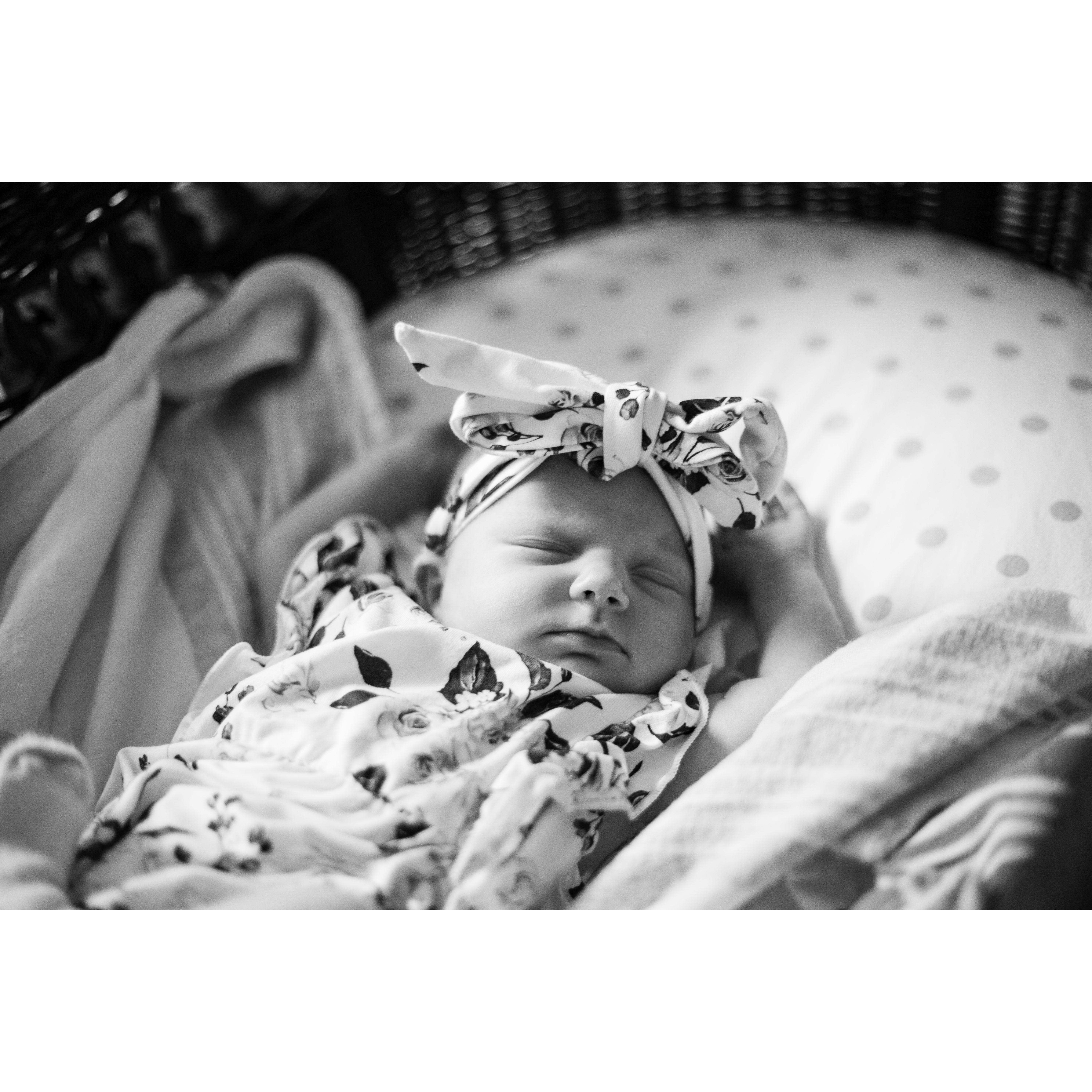 Baby Milana when she was 4 days old. She will have just turned 2 when she attends our wedding!