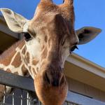 Hogle Zoo