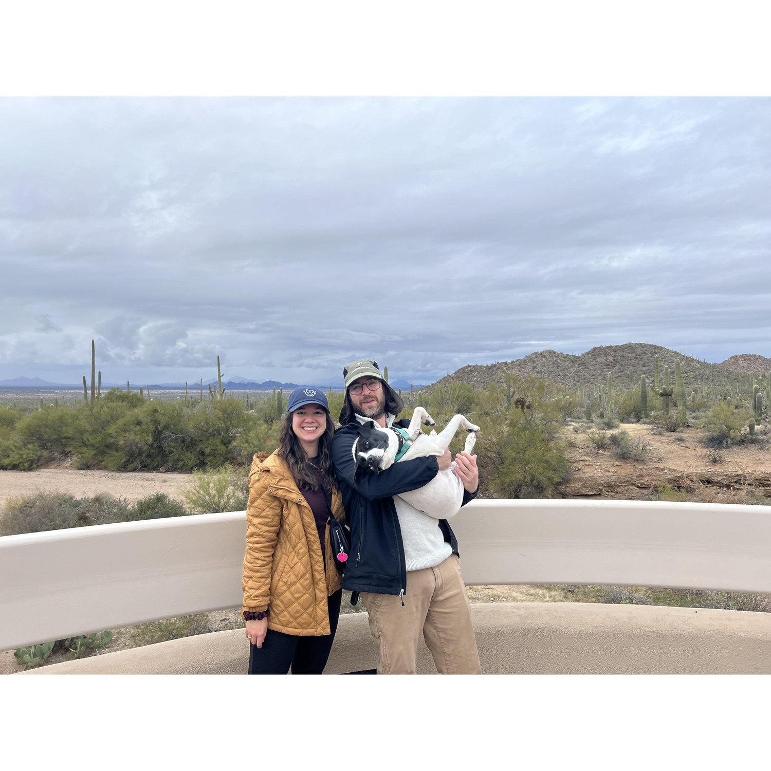 Saguaro National Park, AZ, February 2024