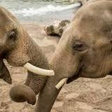 Oregon Zoo