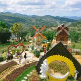 Little Amsterdam of Cebu