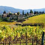 Franciacorta Wine Region - Franciacorta Region de Vinos