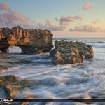 Coral Cove Park
