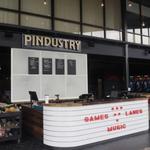 Pindustry