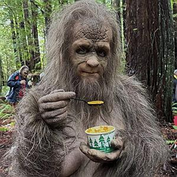 Roadtrip to find Sasquatch
