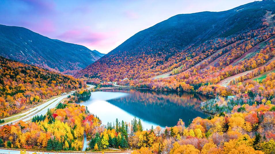 The Wedding Website of Samantha Geary and Carter Mercer