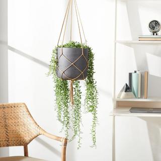 Peltria Planter
