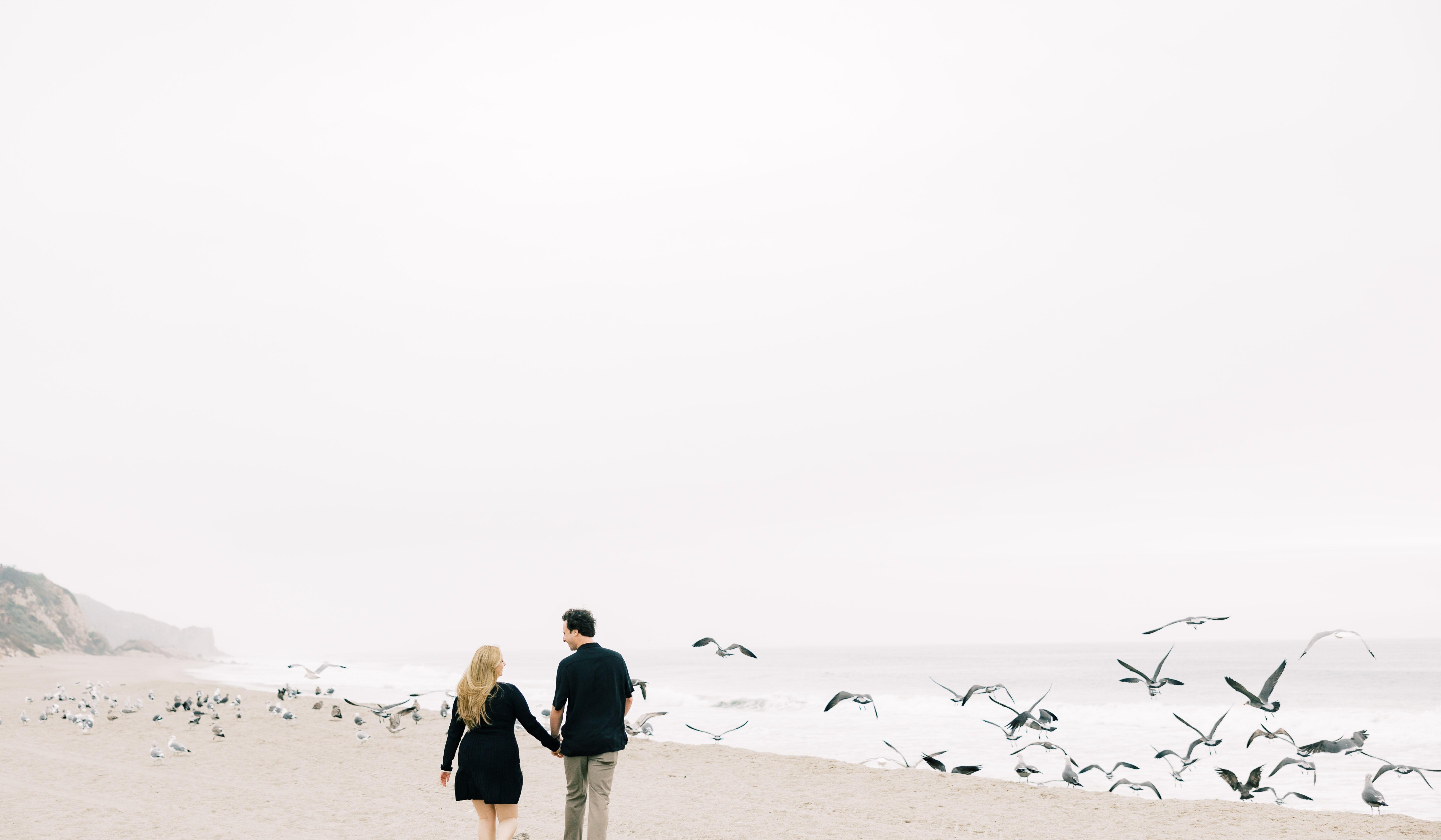 Footer image