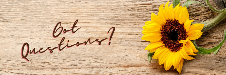 The Wedding Website of Krystin Baker and Daniel Ahlstrand