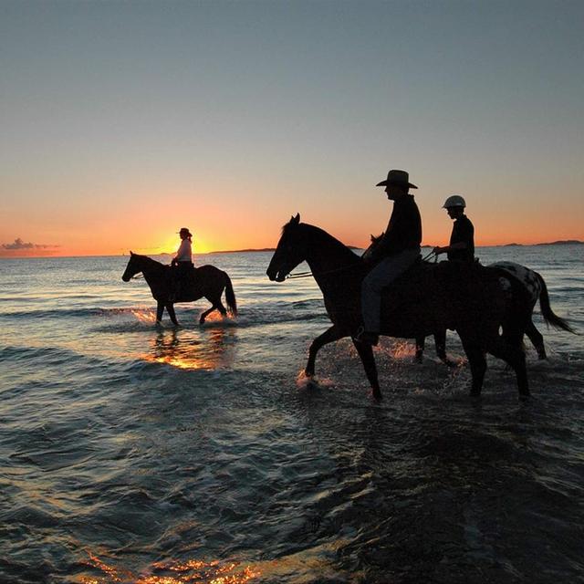 Sunset Horseback Ride