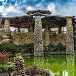 Japanese Tea Garden