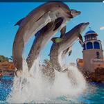 SeaWorld San Diego