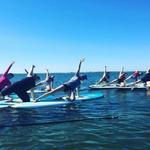 Adventure Paddleboards & Kayaks