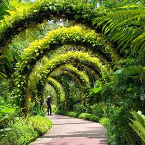 Singapore Botanical Garden Tickets