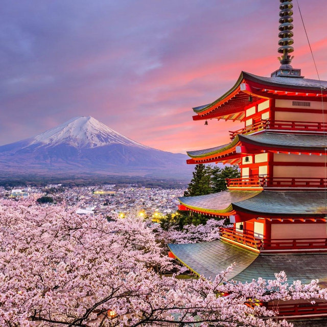 Our Honeymoon Fund - Japan
