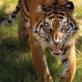 Fort Worth Zoo