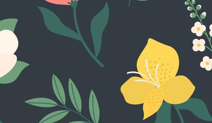Footer image