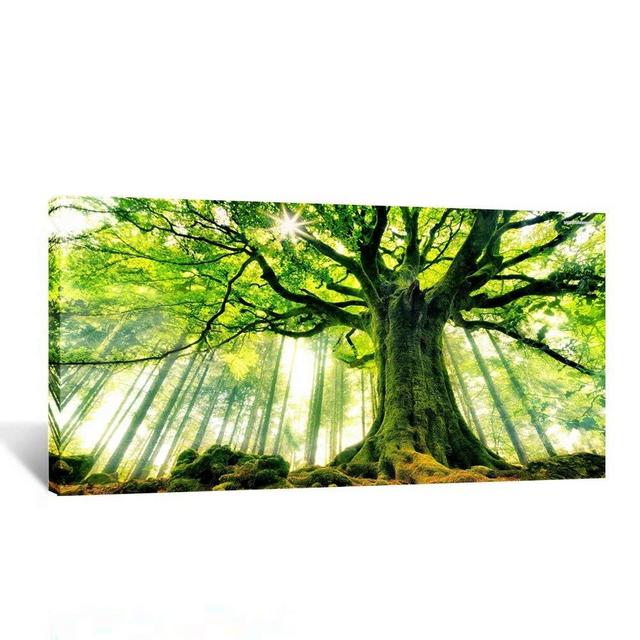 Kreative Arts Canvas Large Art Print Spring Forest Nature Green Big Tree Wall Art Photo Printed on Canvas Framed Artwork for Office Wall Decoration Ready to Hang 20x40inch