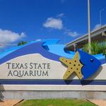 Texas State Aquarium