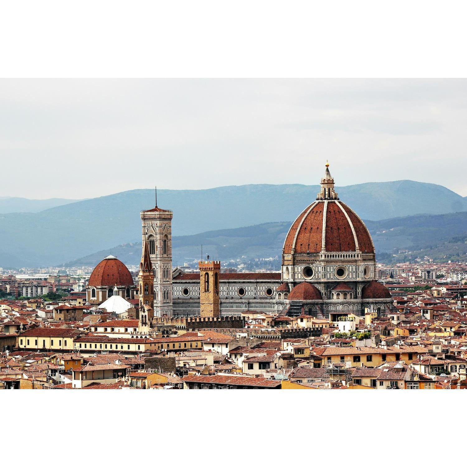 Florence Landscape
