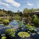 Denver Botanic Gardens
