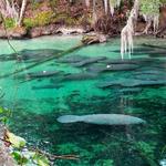Blue Springs State Park