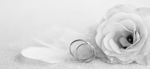 The Wedding Website of Anthony Chen and Shirley Zhao