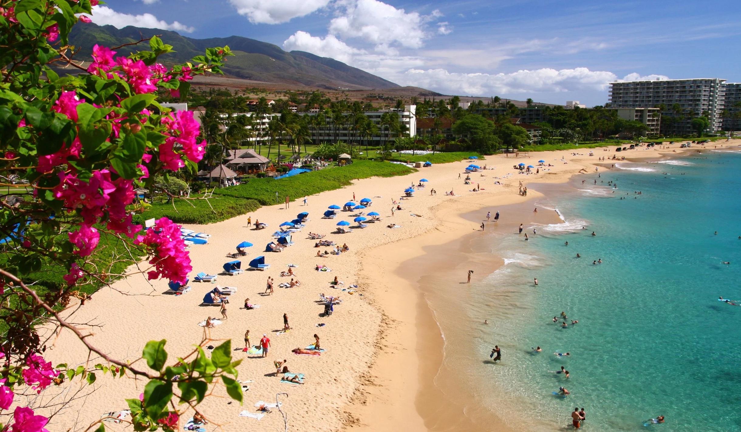 408efebd-3df3-4ae4-9694-24b18c6f4efa