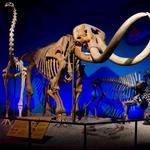 Milwaukee Public Museum
