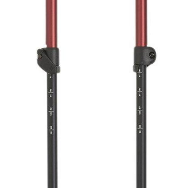 Black Diamond Trail Ergo Cork Trekking Poles