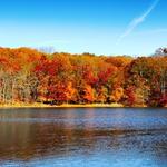 Cheesequake State Park