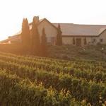 Wölffer Estate Vineyard