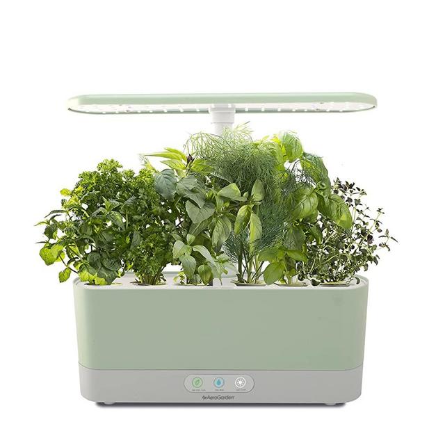 AeroGarden 901126-1200 Harvest Slim with Gourmet Herb Seed Pod Kit-Hydroponic Indoor Garden, Sage